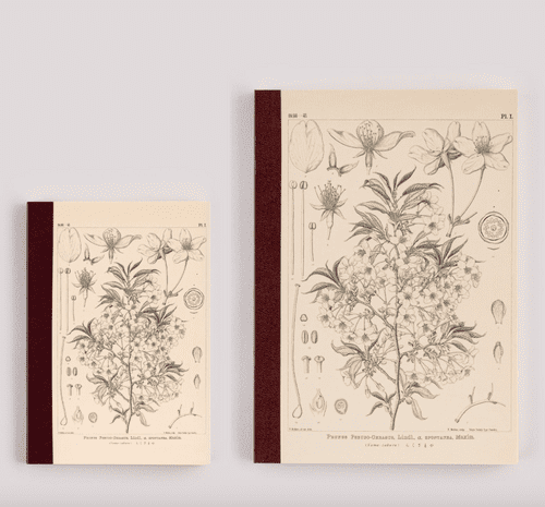 Hobonichi Techo - Plain Notebook - Tomitaro Makino: Yamazakura