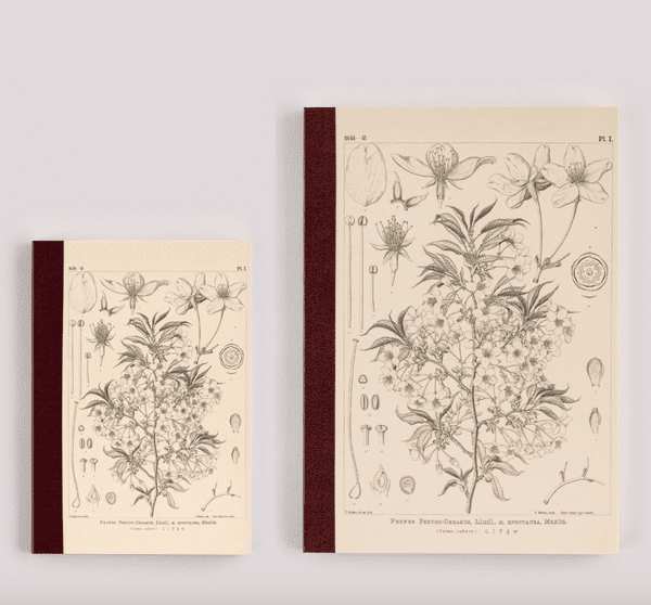 Hobonichi Techo - Plain Notebook - Tomitaro Makino: Yamazakura