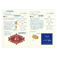 Laconic - Style Notebook - B6 - Cafe