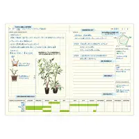 Laconic - Style Notebook - B6 - Green