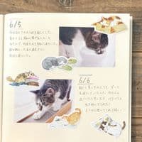 NB.Co - Flake Stickers - Nekorobi Neko Aru Aru