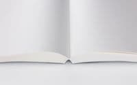Stalogy - 1/2 Year Notebook - A5 Plain - Yellow
