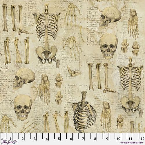 Tim Holtz - Eclectic Elements - Laboratory Collection - 50cm - Anatomy