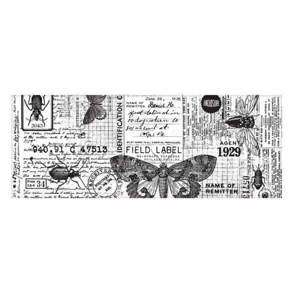 Tim Holtz - idea-ology - Collage Paper - Entomology