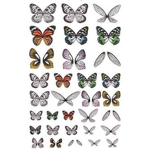 Tim Holtz - Idea-ology - Transparent Wings - Colour