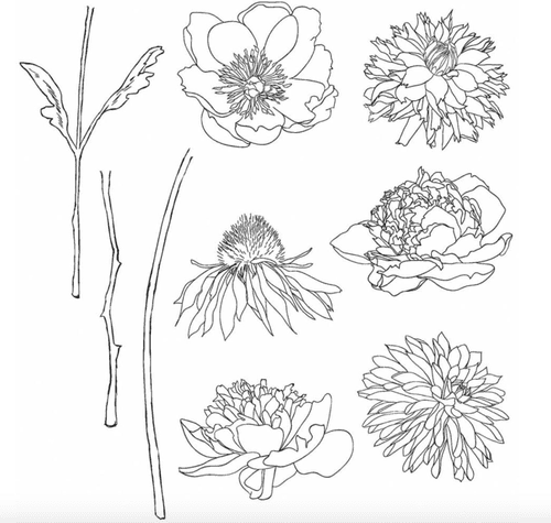 Tim Holtz - Rubber Stamps - CMS215 - Flower Garden