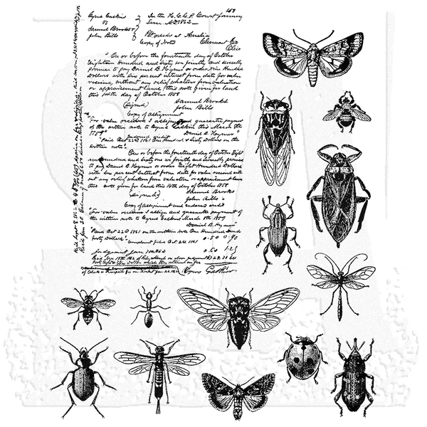 Tim Holtz - Rubber Stamps - CMS328 - Entomology