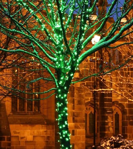 ConnectPro MV001 Green Outdoor 5m LED String Lights, Connectable, Black Rubber Cable