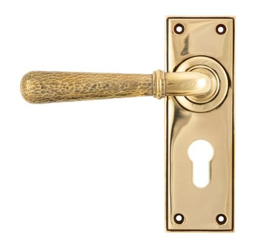 From The Anvil 46212 Aged Brass Hammered Newbury Lever Euro Set
