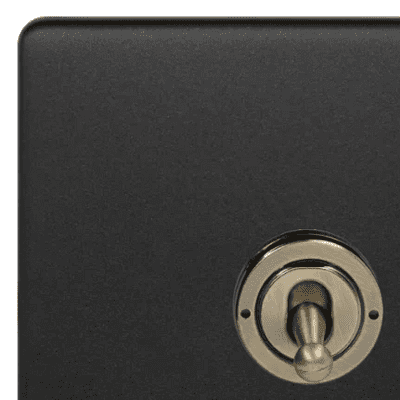 Matt Black & Antique Brass Toggle Switches