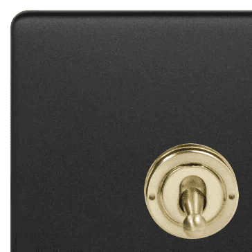 Matt Black & Brushed Brass Toggle Switches