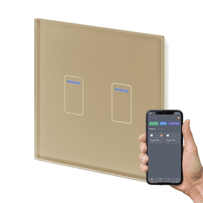 RetroTouch 2 Gang Brass Glass WiFi Touch Switch 01460