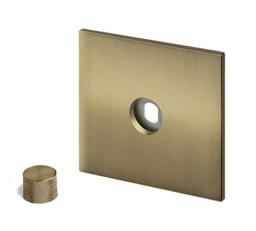 Retrotouch Aura BM15BB-D12B-BB Dimmer Plate 1 Gang with Brass Knob - Brushed Brass