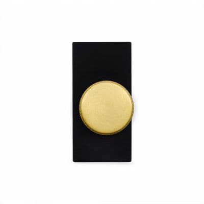 Soho Brushed Brass 6A Dummy LT2 Dimmer Module Knurled SS-SH-0C-SGP143-BB