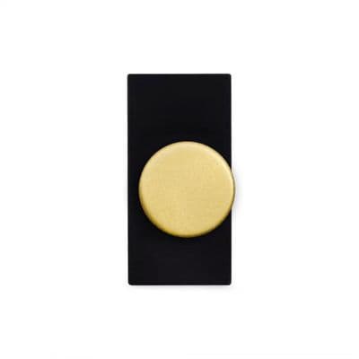 Soho Brushed Brass 6A Dummy LT2 Dimmer Module Vintage SS-SH-0K-SGP143-BB