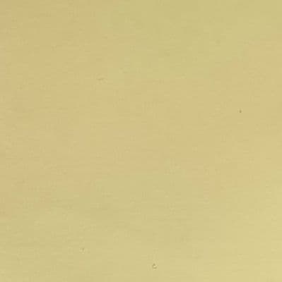 Unlacquered Polished Brass