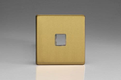 Varilight XEBD1S European Brushed Brass 1 Gang Keystone Data Plate