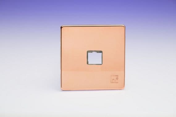 Varilight XEYD1S.AC European Cu29 Raw Copper 1 Gang Keystone Data Plate