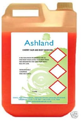 Foaming Hair Shampoo & Body Wash Shower Gel 5 Litre - Cherry