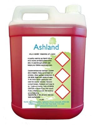 Wild Cherry Washing Up Liquid 5L