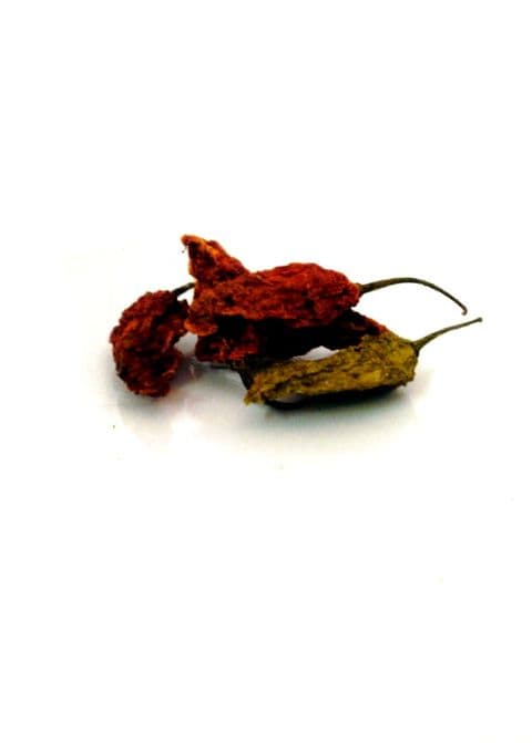 Dried Whole Naga Jolokia Chillies (Bhut Jolokia)