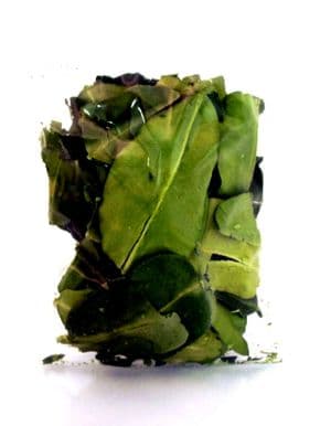 Kaffir Lime Leaf (Dried Kaffir Lime Leaves) 5g