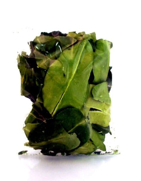 Kaffir Lime Leaf (Dried Kaffir Lime Leaves) 5g