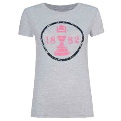 1882 Ashes Urn Womens T-Shirt - Grey/Pink