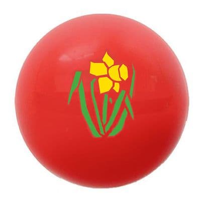Glamorgan Cricket High Bounce Rubber Ball