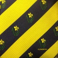 Glamorgan Cricket Supporters Tie
