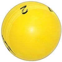 Gray Nicolls Cricket Spin Ball