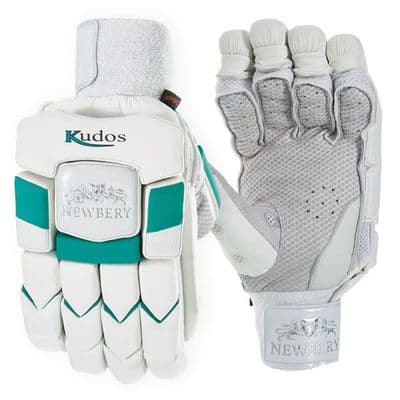 Newbery Kudos Batting Gloves