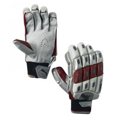 Puma Stealth 4000 Cricket Batting Gloves