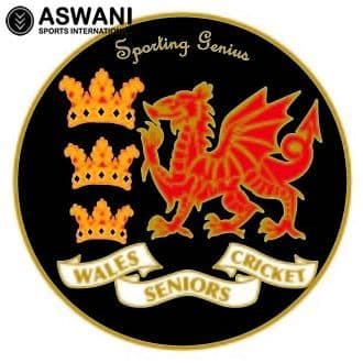 Wales Seniors Cricket Pin Badge