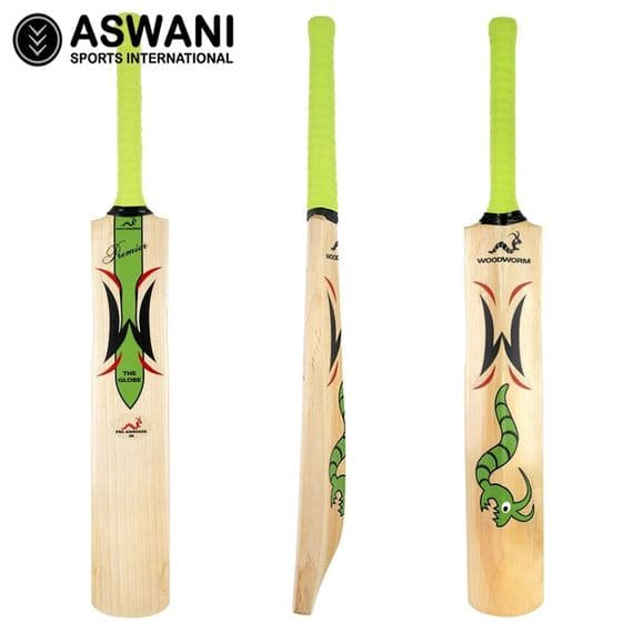 Woodworm Premier Globe Junior Cricket Bat