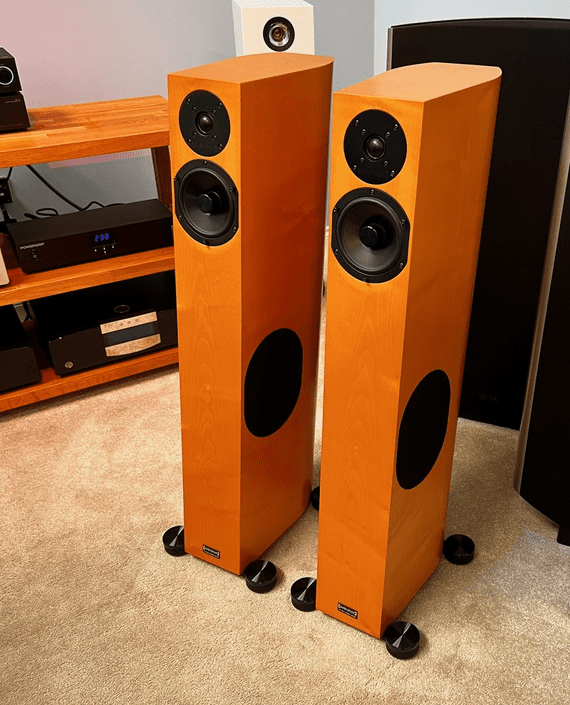 Audio Physic Tempo VI - Maple Finish | Audio Emotion | Preowned