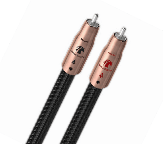AudioQuest Black Beauty RCA | Analogue Interconnect | Audio Emotion