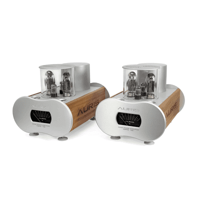 Auris Forte 150 Mono Amplifier Pair