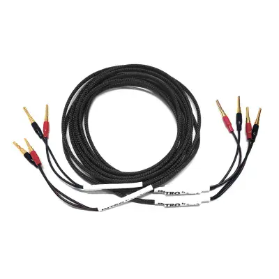 Black Rhodium INTRO Speaker Cables with Ferrites - Pair
