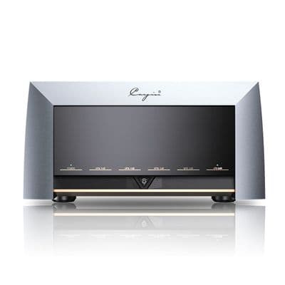 Cayin M-845D Mono Amplifier - Type UK (Pair)