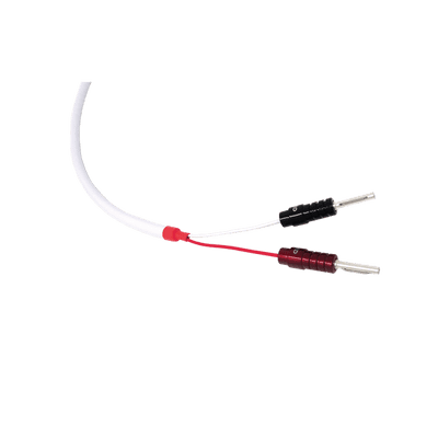 Chord Company C-screen speaker cable