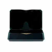 iFi Go Pod True Wireless Headphone Amp & DAC | Audio Emotion
