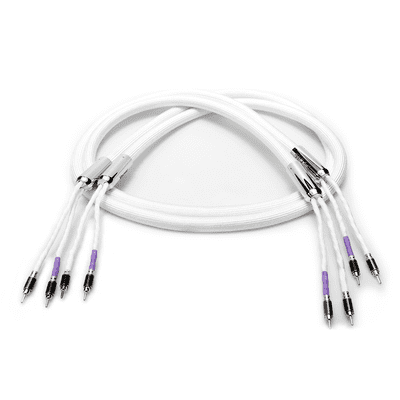 Live Cable Xtreme Speaker Cables