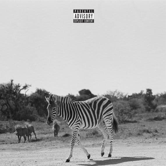 Louis VI - Earthling | Vinyl | Audio Emotion