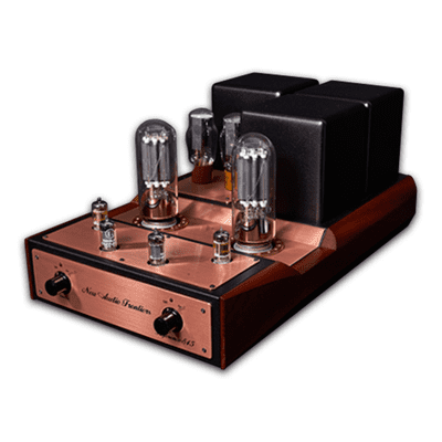 New Audio Frontiers Reference 845 SE Monoblocks