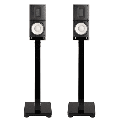 Raidho Acoustics X1 / X1T Loudspeaker