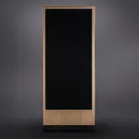 Trenner&Friedl ISIS Loudspeakers | Audio Emotion