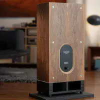 Trenner&Friedl RA Loudspeakers | Audio Emotion