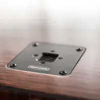 Trenner&Friedl TALIESIN Loudspeakers | Audio Emotion