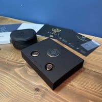 Vision Ears Phonix | Balanced Armature Universal IEMs | Audio Emotion | Preowned